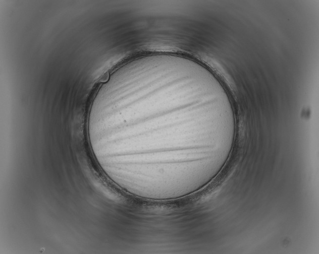 X0000091920533200709261644