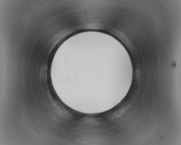 X0000091920534200709261644