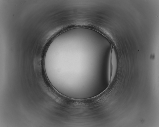 X0000091920535200709261644