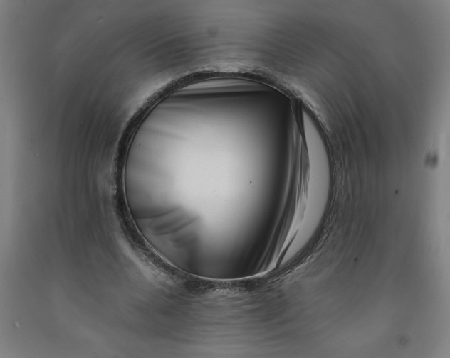 X0000091920536200709261644