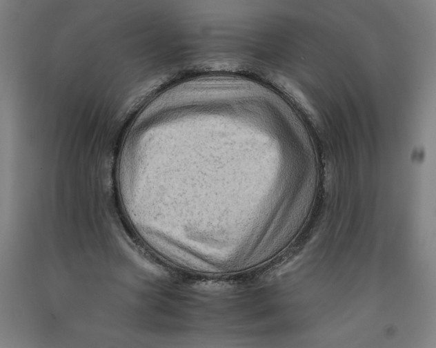 X0000091920537200709261644