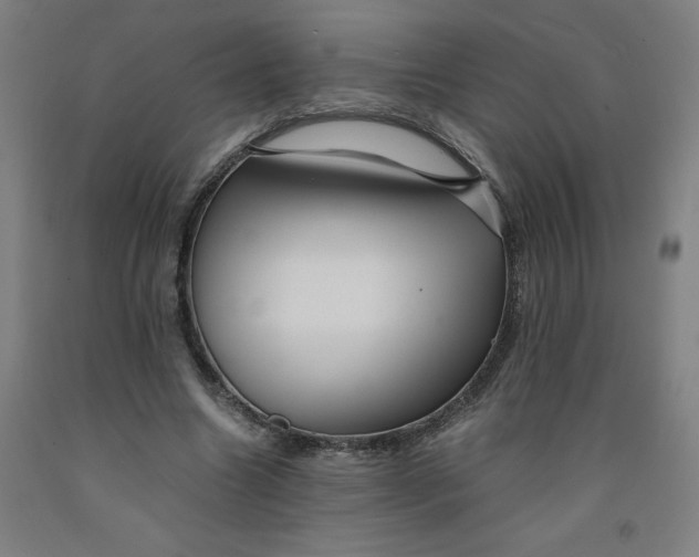 X0000091920538200709261645