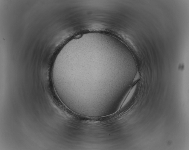 X0000091920539200709261645