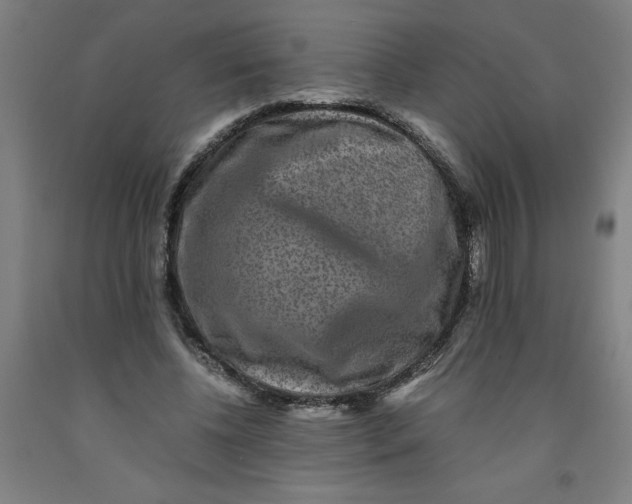 X0000091920540200709261645