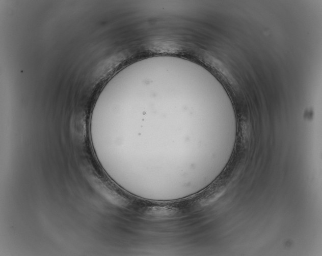 X0000091920541200709261645