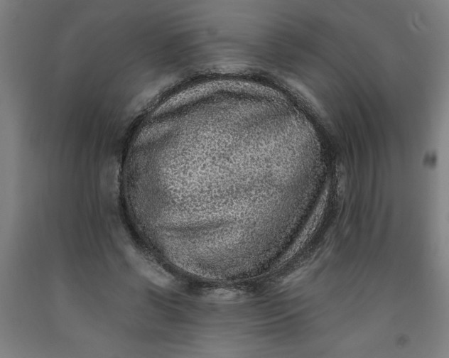 X0000091920542200709261645