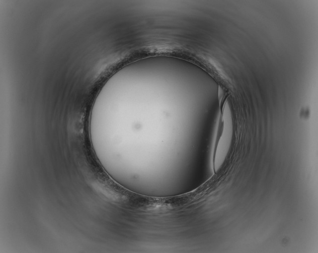 X0000091920543200709261645