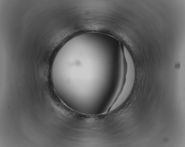 X0000091920544200709261645