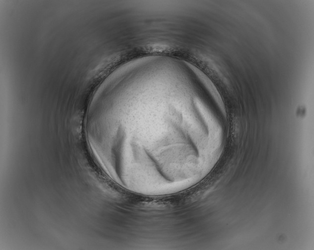 X0000091920545200709261645