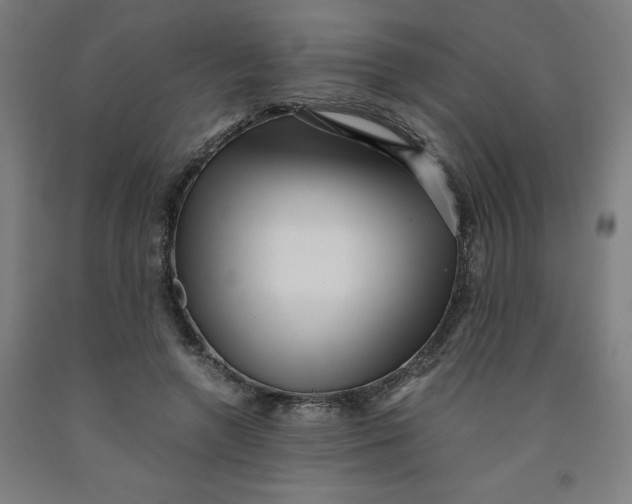 X0000091920546200709261645