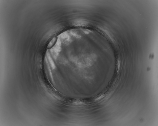 X0000091920547200709261645