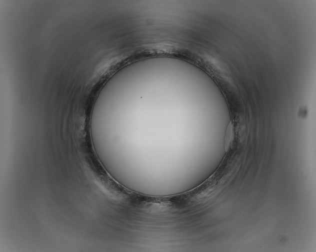 X0000091920548200709261645