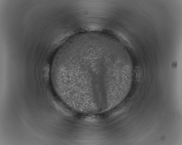 X0000091920550200709261645