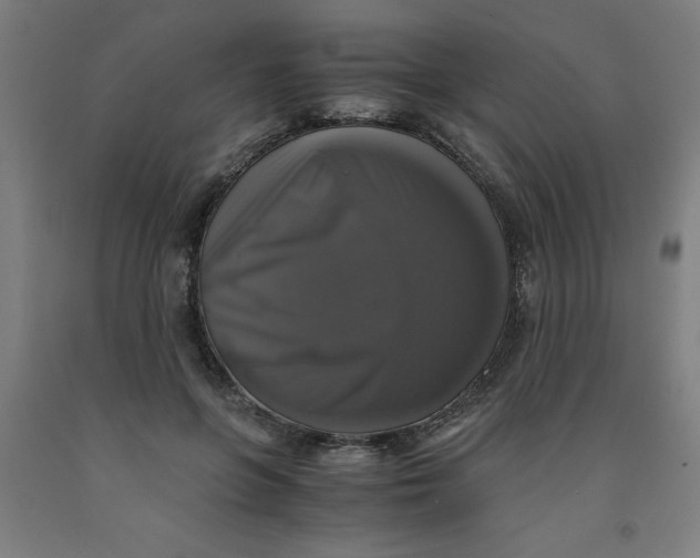 X0000091920551200709261645