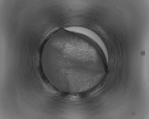 X0000091920552200709261645