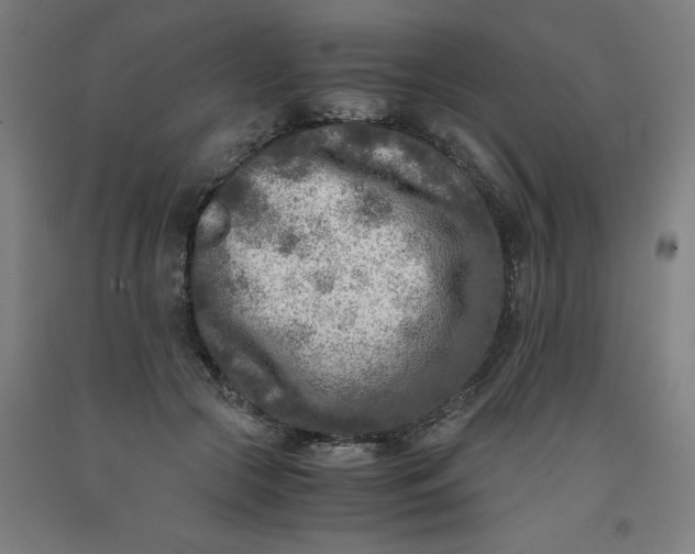 X0000091920553200709261645