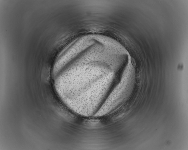 X0000091920554200709261645