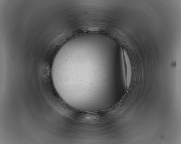 X0000091920555200709261645