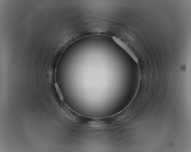 X0000091920556200709261645