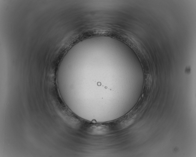 X0000091920557200709261645