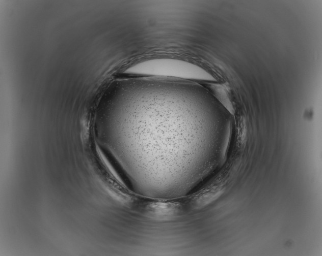 X0000091920558200709261645