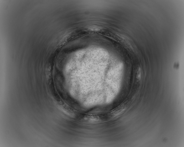 X0000091920559200709261645