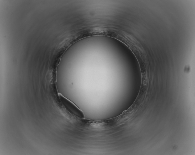 X0000091920560200709261645