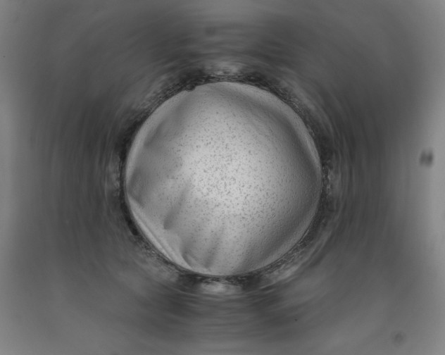 X0000091920561200709261645