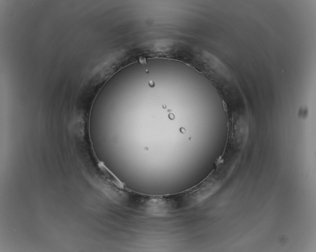 X0000091920562200709261645