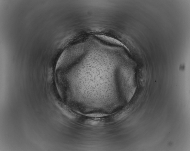 X0000091920563200709261645