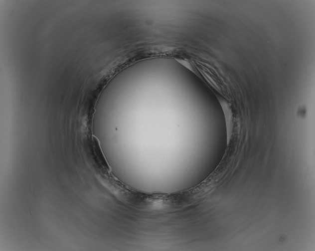 X0000091920564200709261645