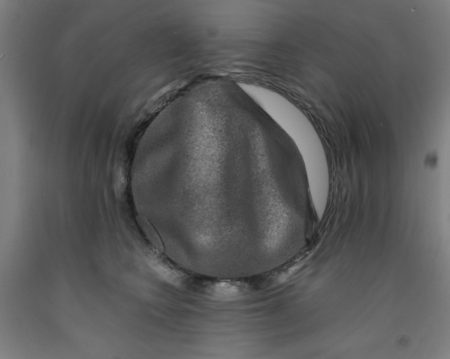 X0000091920566200709261645