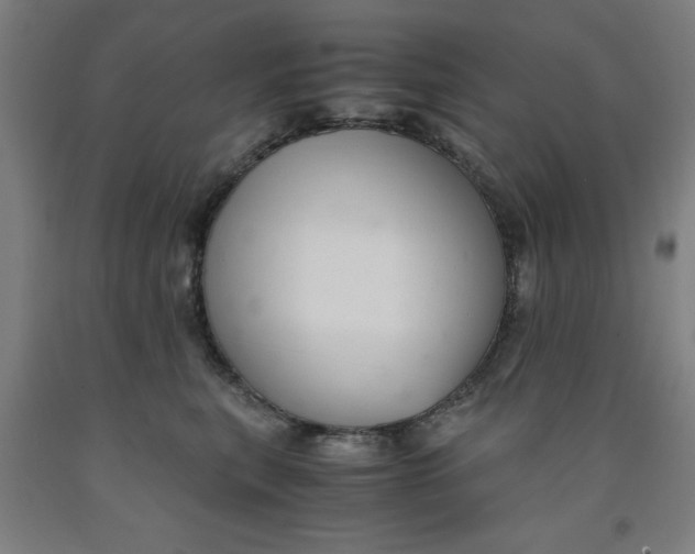 X0000091920567200709261645