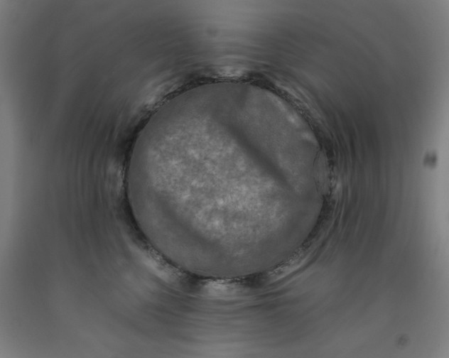 X0000091920568200709261645