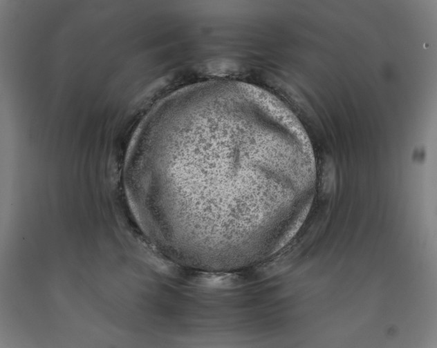 X0000091920569200709261645