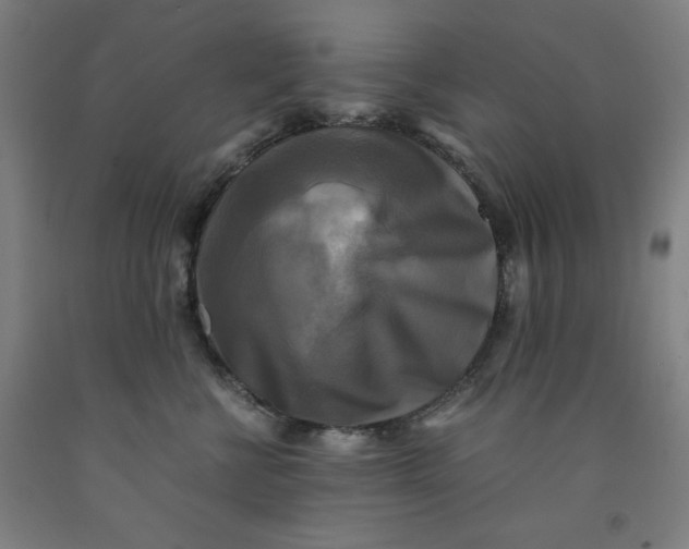 X0000091920570200709261645