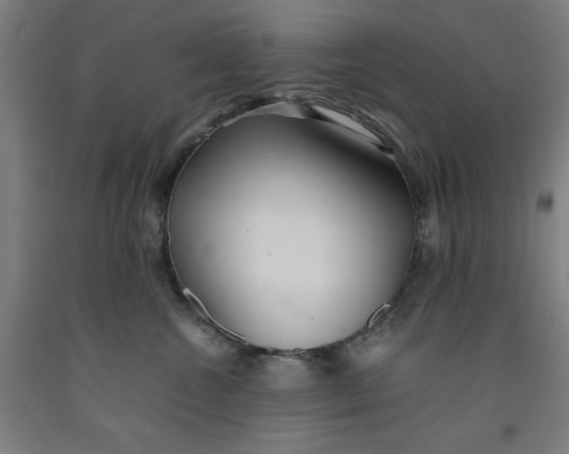 X0000091920572200709261645