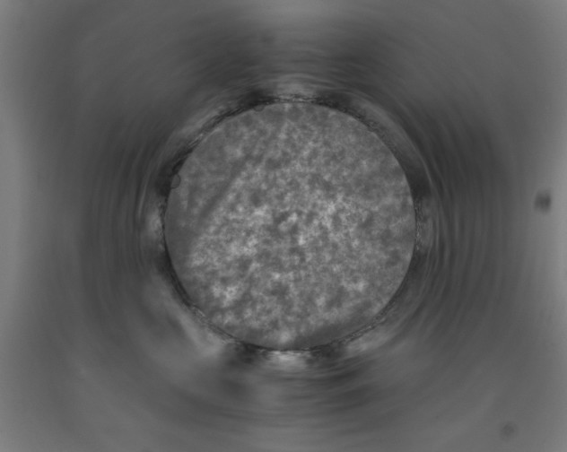 X0000091920573200709261645