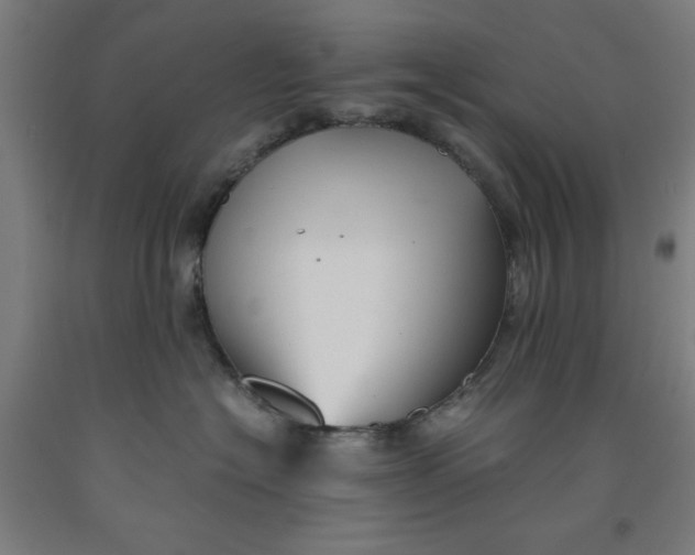 X0000091920574200709261645