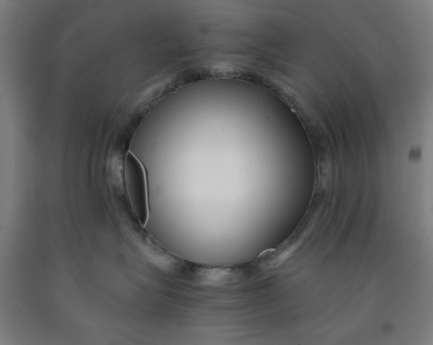 X0000091920575200709261645