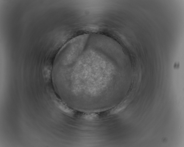 X0000091920576200709261645