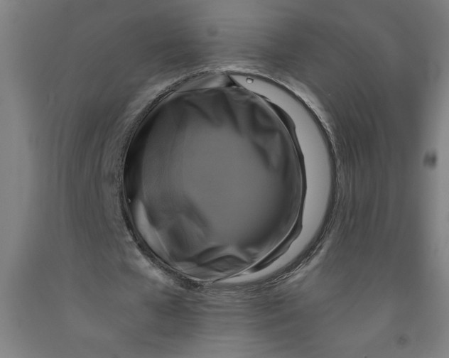 X0000091920577200709261644