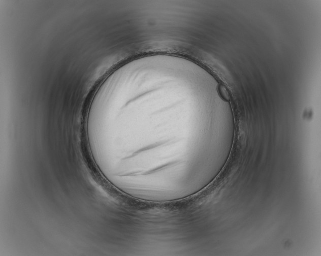 X0000091920578200709261644