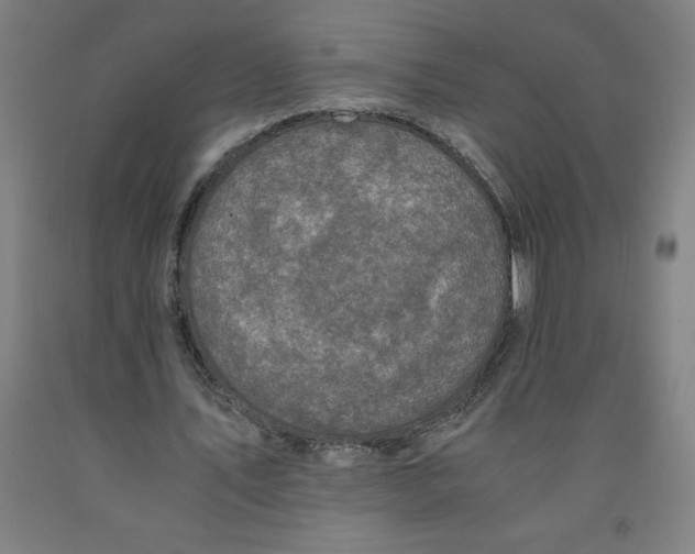 X0000091920579200709261644