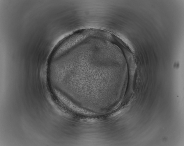 X0000091920580200709261644