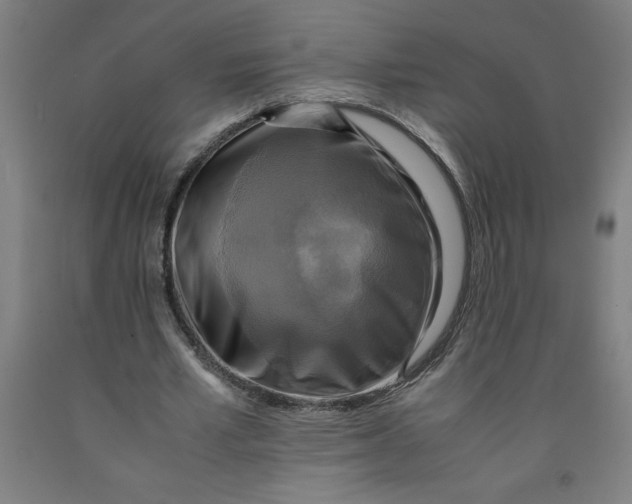 X0000091920581200709261644