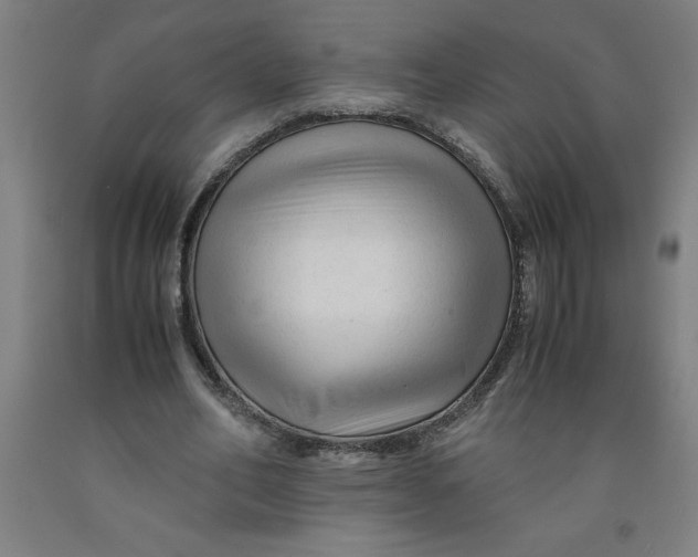 X0000091920582200709261644