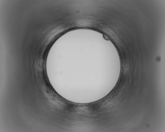 X0000091920583200709261644