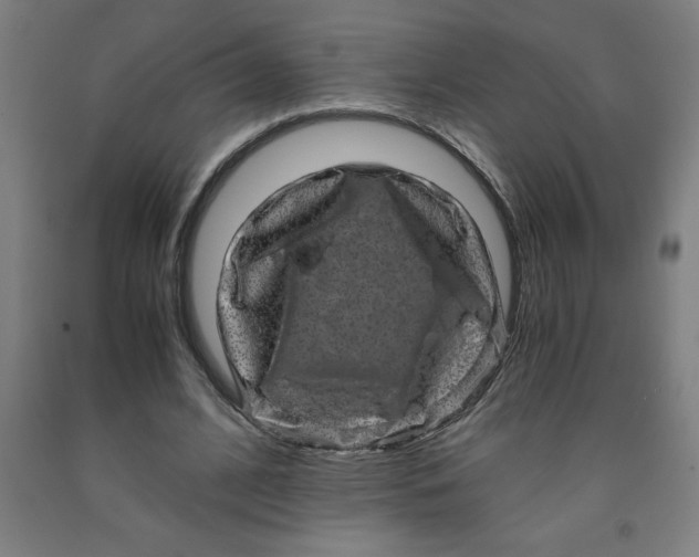 X0000091920584200709261644