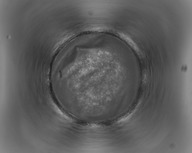 X0000091920585200709261644